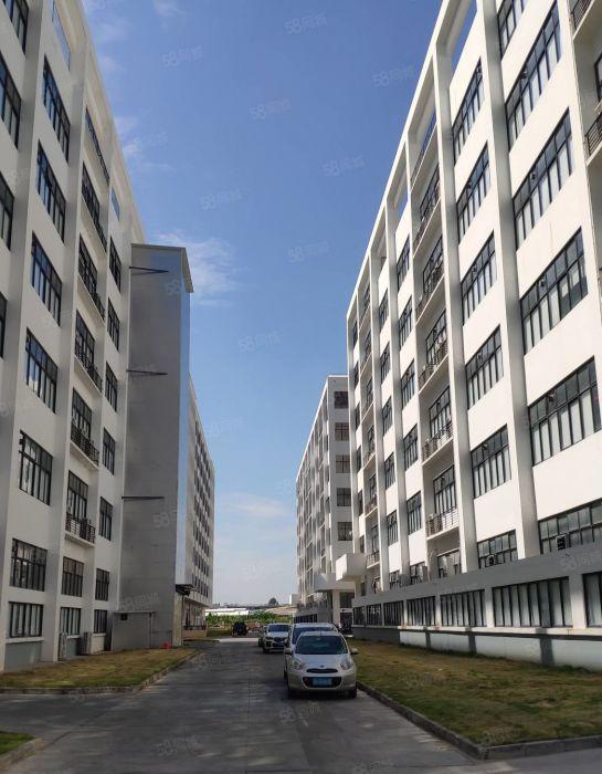 东莞城区2万平方（可分租）全新红本独栋厂房低价出租，近高速口