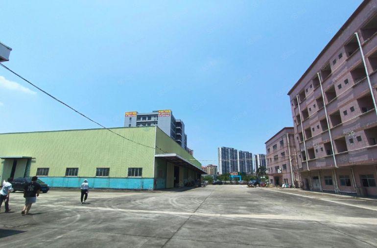 茶山镇原房东钢构独院大小分租空地6000平方 滴水8米电过户