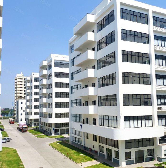 东莞城区2万平方（可分租）全新红本独栋厂房低价出租，近高速口