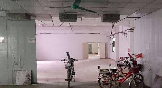 凤岗雁田楼上玩具，手袋，包装，服装带有货梯700平