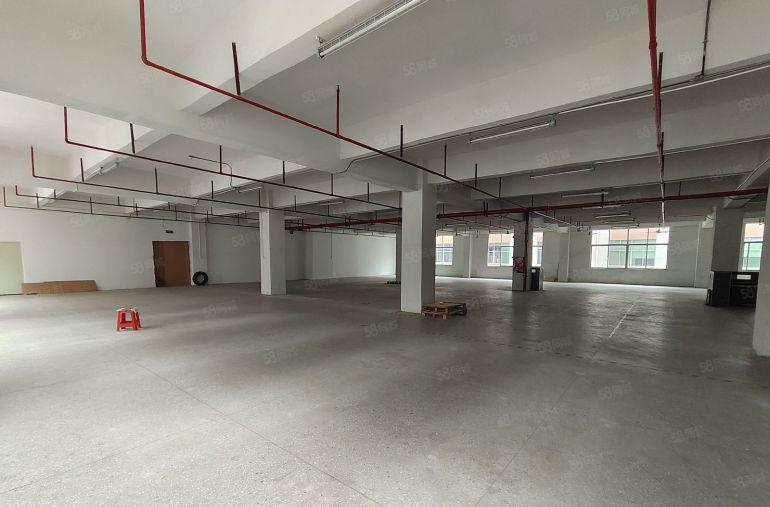 凤岗金凤凰楼上1500平租金14元厂房出租现成办公室水电