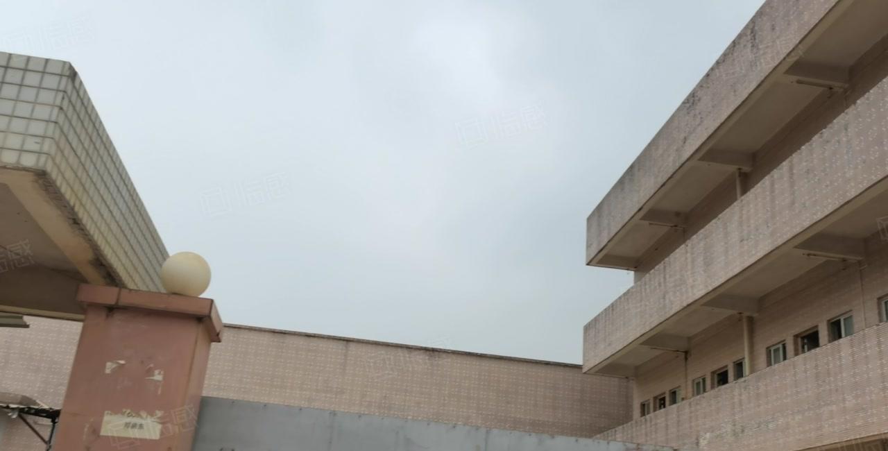 凤岗官井头工业区独门独院1200平一楼钢构仓库厂房出租可分租