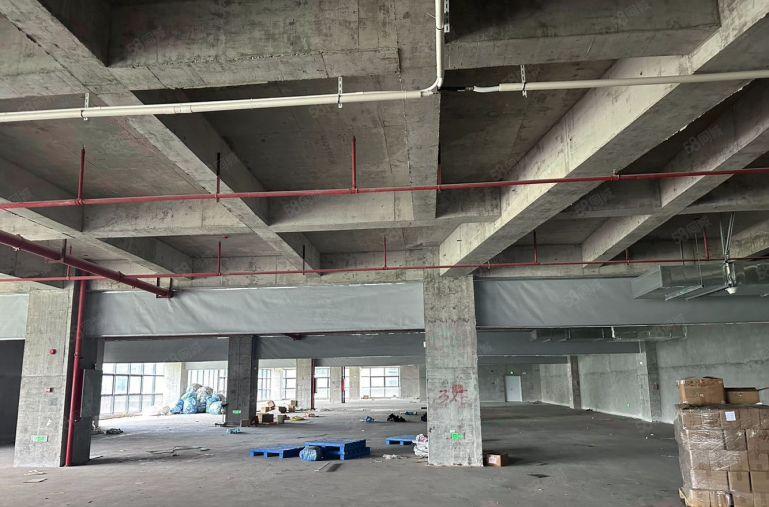 天安深创谷东区整层1900平高使用率厂房出租