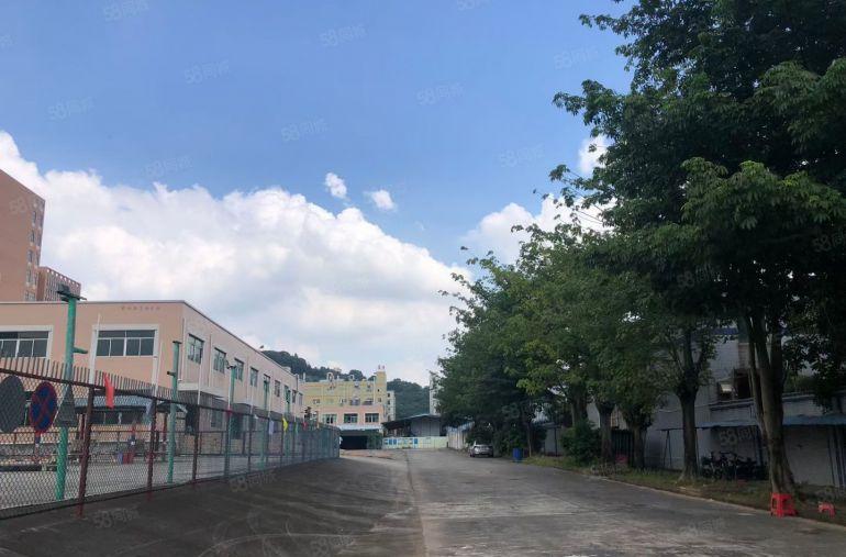 凤岗金凤凰独院实际面积7000平标准卸货平台空地大低价出租