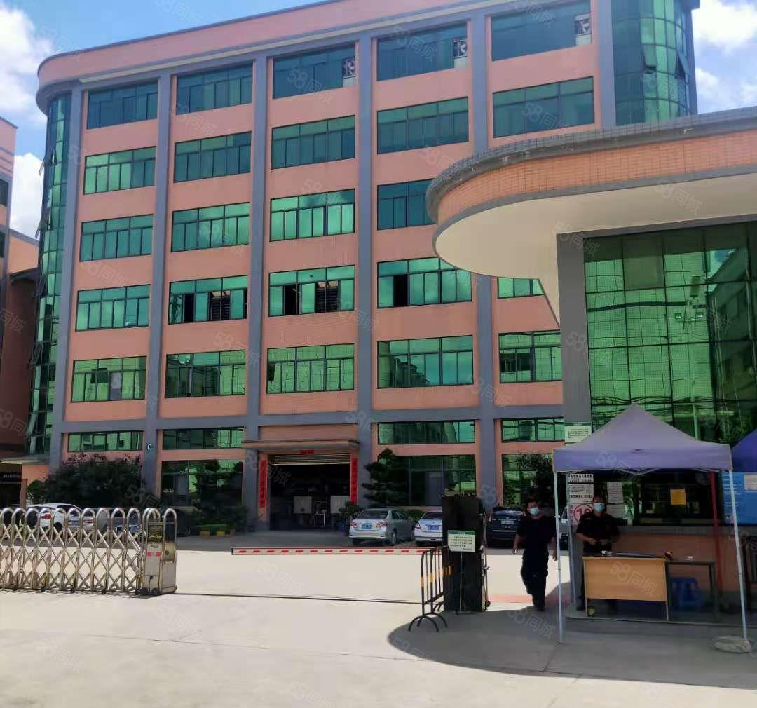 雁田二楼厂房1380平方出租