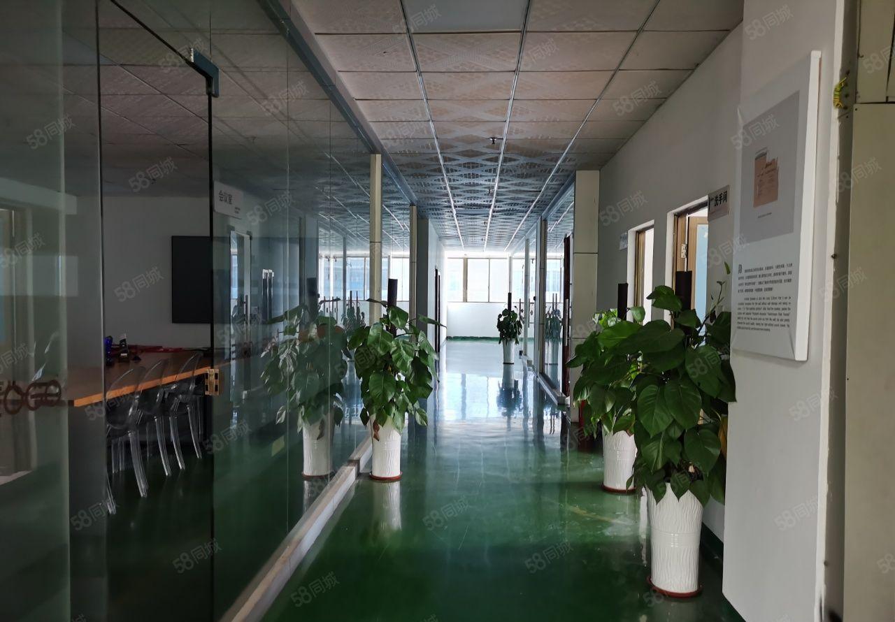 凤岗楼上一整层2000平方带精装修厂房仓库出租