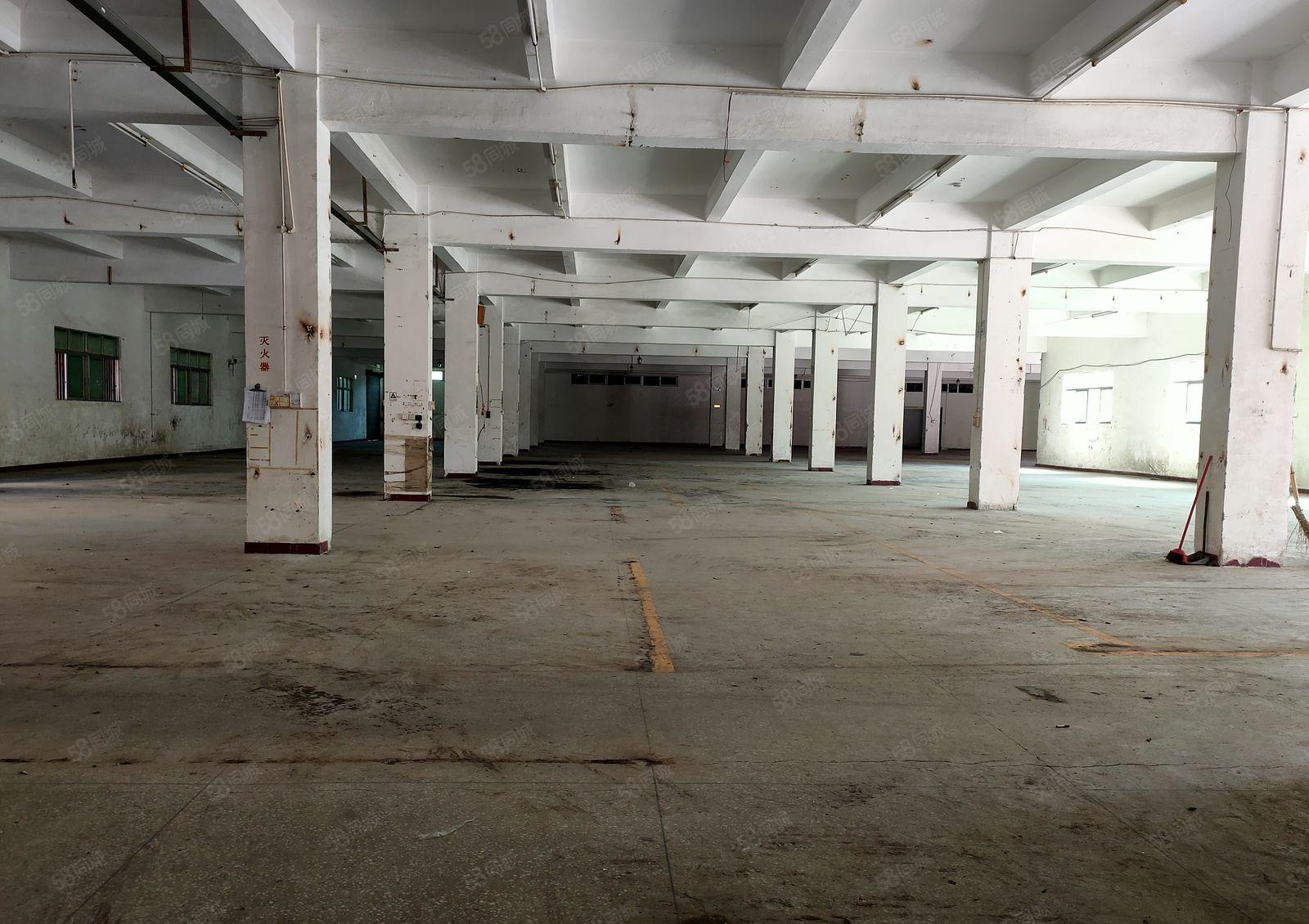 出租凤岗（临深）村委花园式独门独院，可办环评 带红本