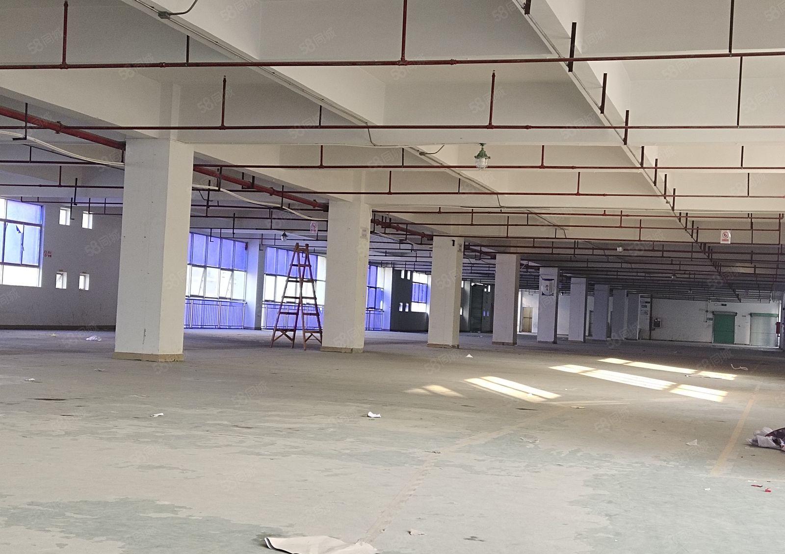 凤岗开达工业园独院2800平仓库厂房出租可分租