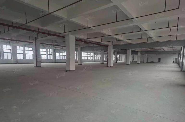 9元租，6个月免租期，凤岗五联新出楼上4000平厂房仓库出租