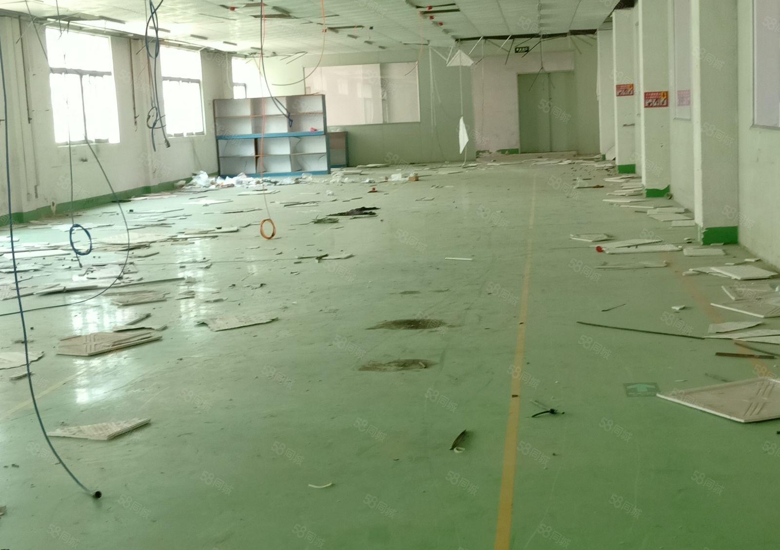 布心高新科技园1500平米标准一楼厂房出租带精装修免中介费