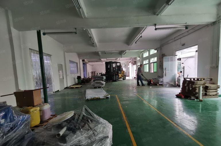 凤岗官井头近龙岗一楼450平精装修厂房出租位置优越好招工