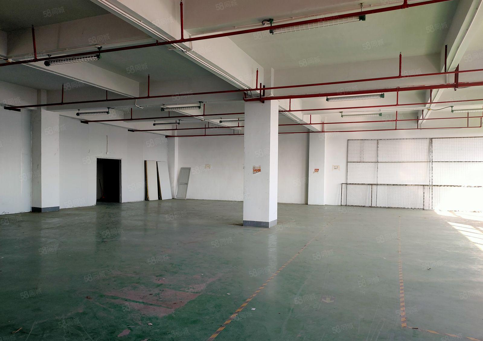 楼上1600平带 有地坪漆 带卸货平台 办公室 3吨货梯