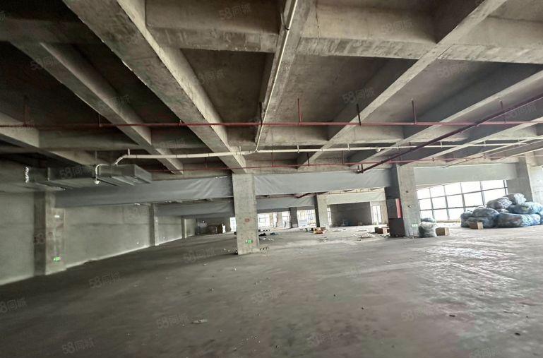 天安深创谷东区整层1900平高使用率厂房出租