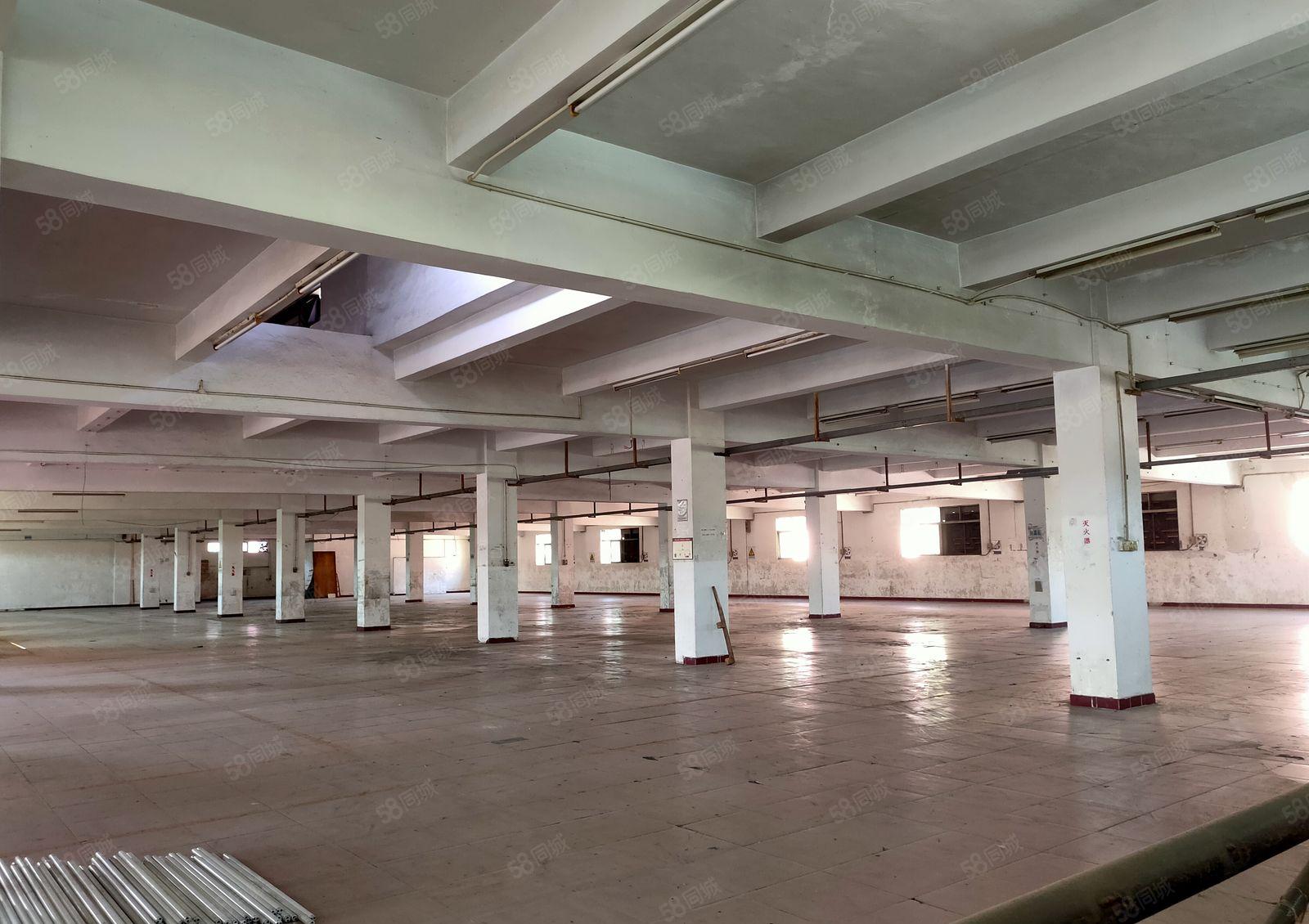 出租凤岗（临深）村委花园式独门独院，可办环评 带红本