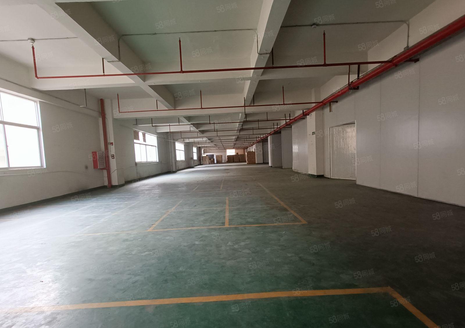 红盈工业园新出楼上800平 (临深) 可办环评  一手房东