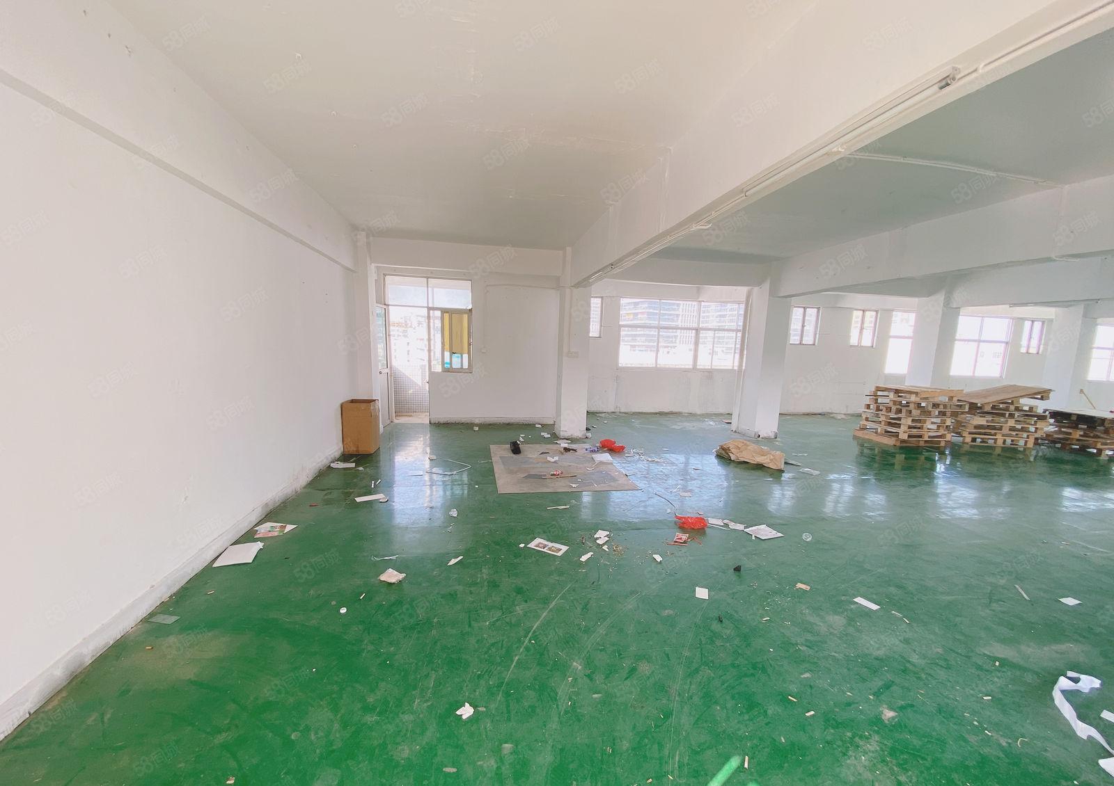 凤岗雁田自家厂房现成水电办公室600平租金16 可谈