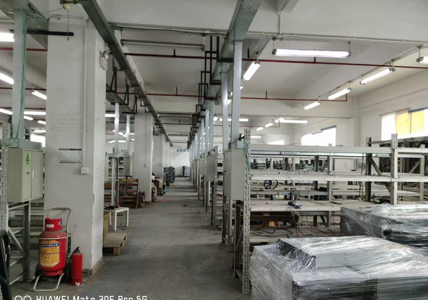 凤岗金凤凰大型工业园空出6楼1560方带装修