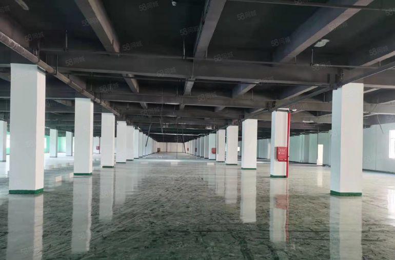 凤岗雁田0公摊独院单层面积5000平大小分租证件齐全厂房出租