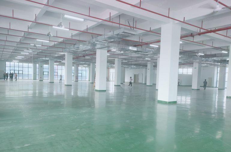 凤岗标准楼上4200平5吨货梯 现成水电装修 拎包即可生产