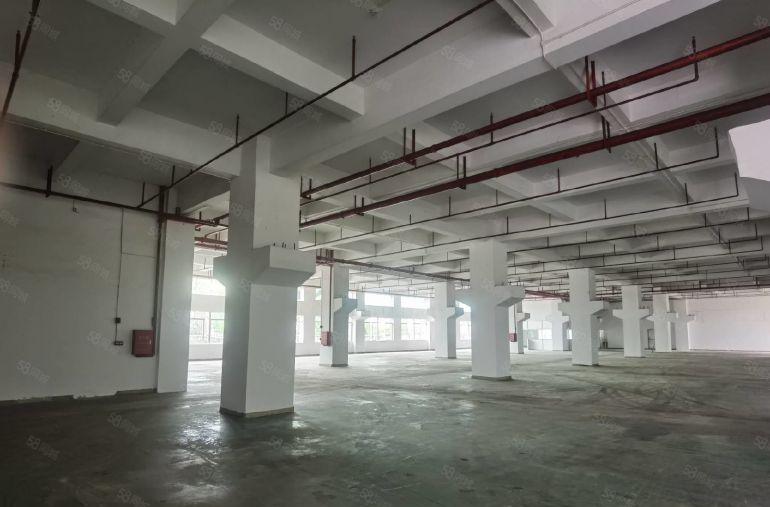 带牛角7米高一楼厂房）凤岗新空出2500平方米厂房出租