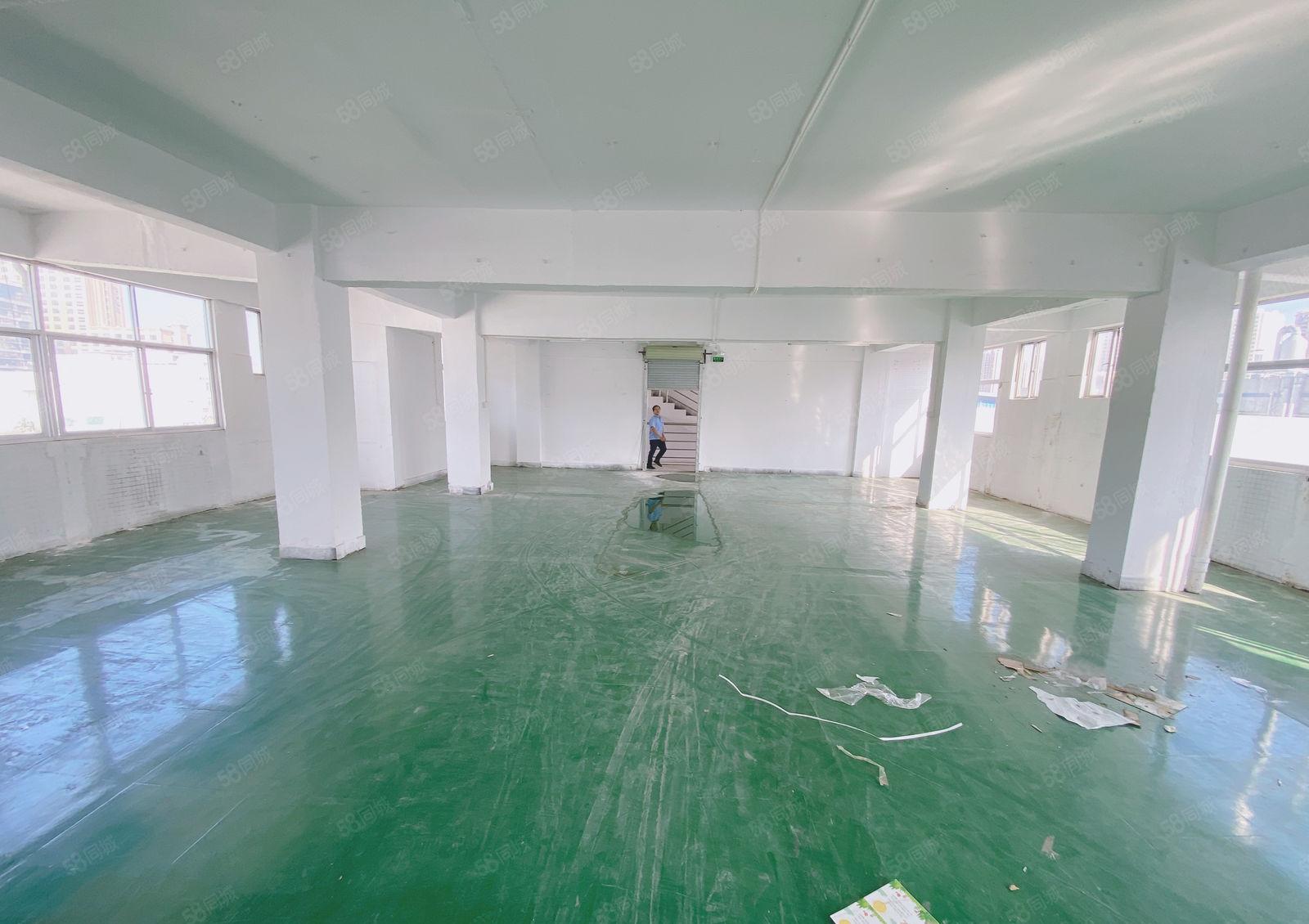 凤岗雁田自家厂房现成水电办公室600平租金16 可谈