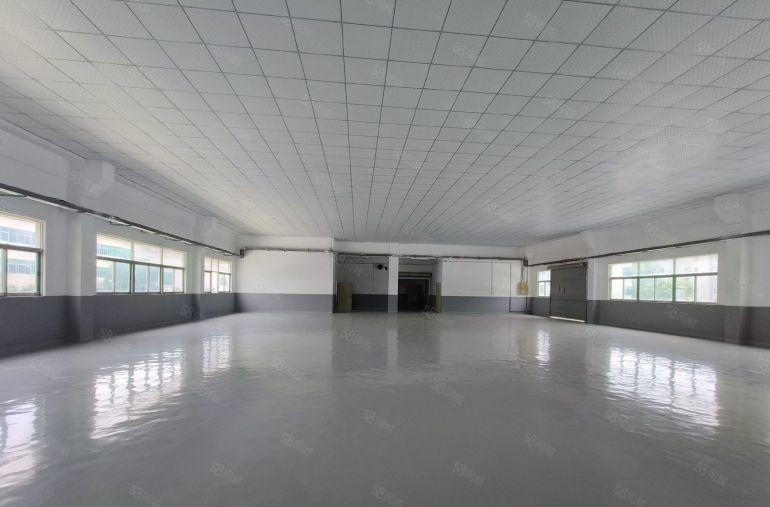 无公凤岗雁田1500平原房东尾盘低价出租，层高4米全新地坪漆