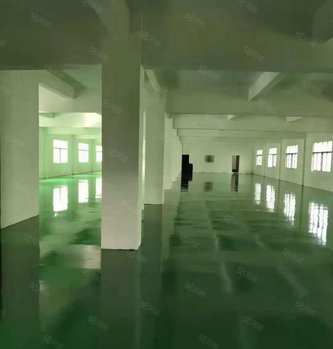 凤岗五联原房东独院3000平方带装修厂房出租