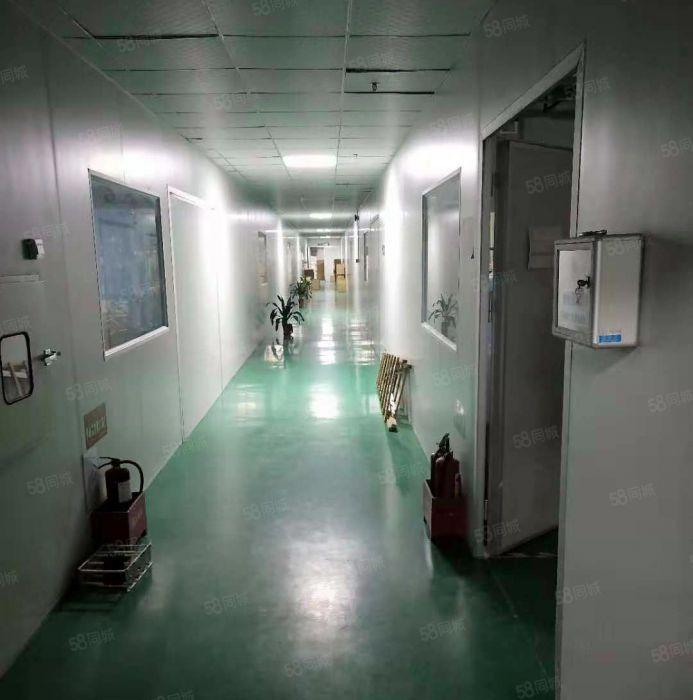 1500平方米带装修厂房）凤岗油甘铺新出原房东楼上厂房出租