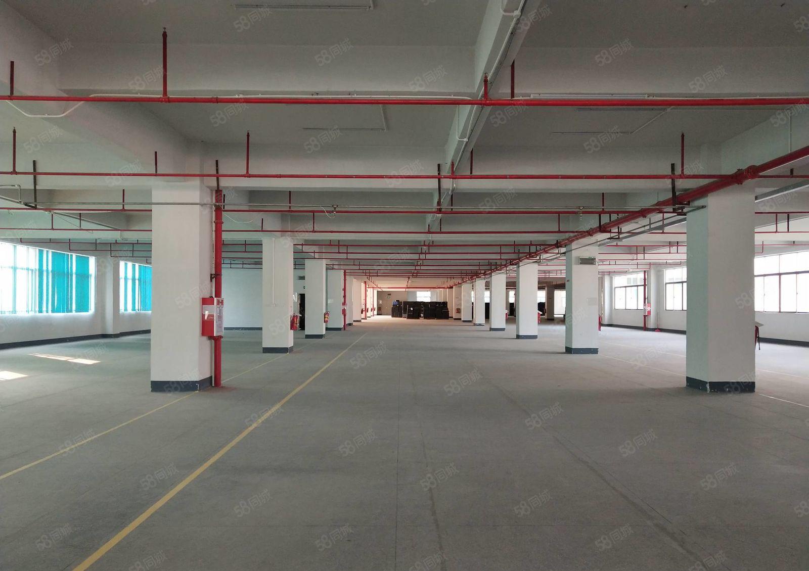 凤岗原房东全新厂房带卸货平台每层7000平方超大空地