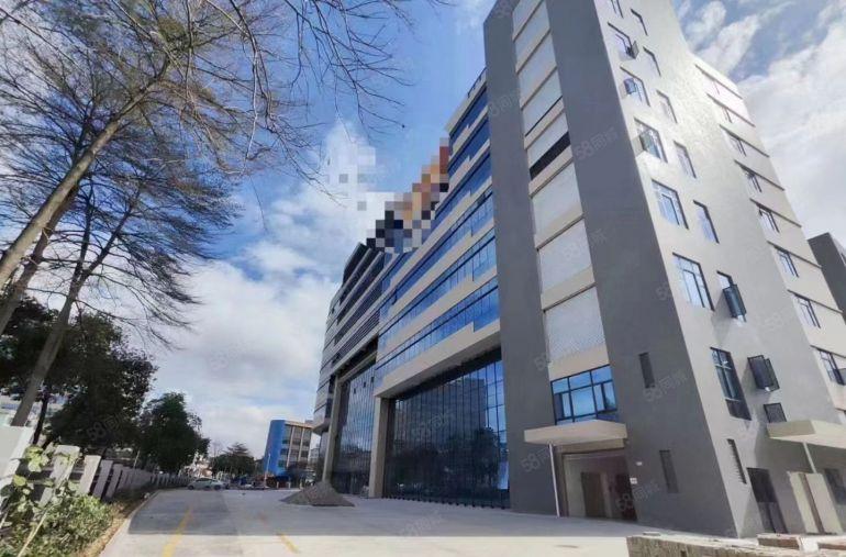 原房东凤岗雁田首层7米高单层2600平实际面积低价出租