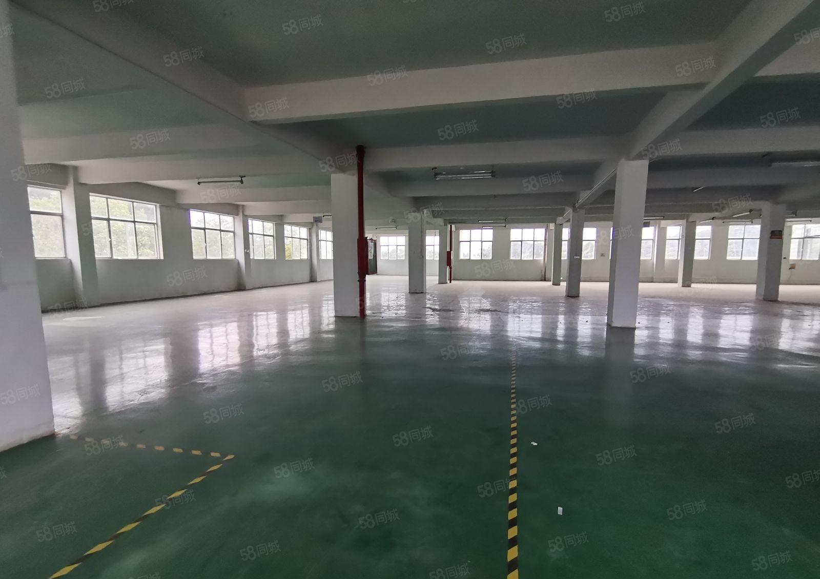 凤岗大龙工业区原房东2千平独栋仓库厂房出租可分租靠近主干道旁