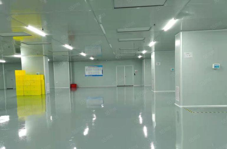 凤岗五联1200平无尘车间无转让费带办公室低价厂房仓库出租