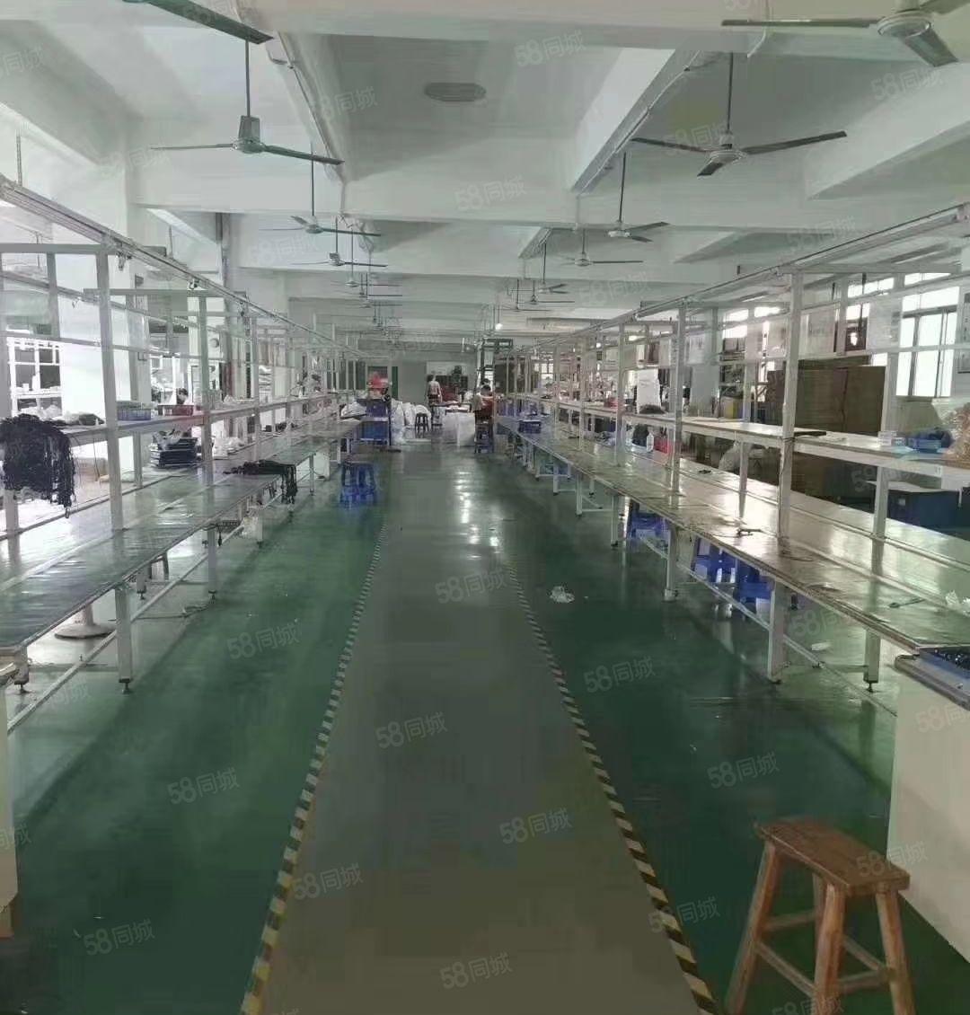 新出原房东独门独院3800平方厂房出租（可以分租）