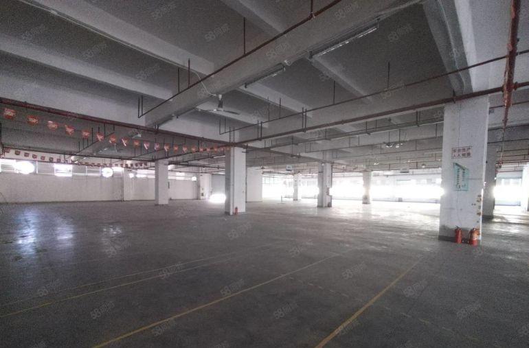 深圳里的凤岗观澜交接处原房东3100平可分组价格实惠