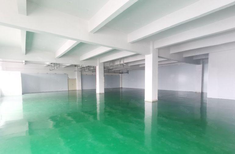 凤岗楼上厂房600平精装修带办公室全新地坪漆配三吨大货梯