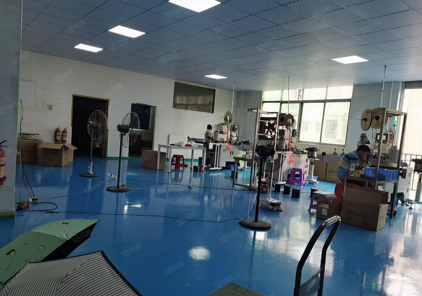 凤岗金凤凰二楼500平方带办公室装修厂房出租