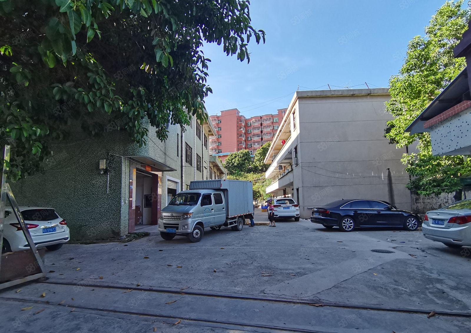 凤岗官井头小布工业区独栋1000平一楼标准仓库厂房出租可分租