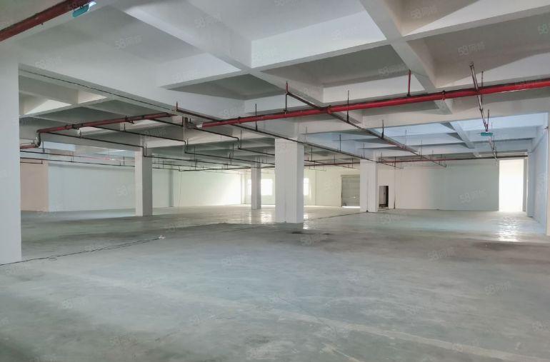 凤岗雁田村电商仓库招租4000平方500起分