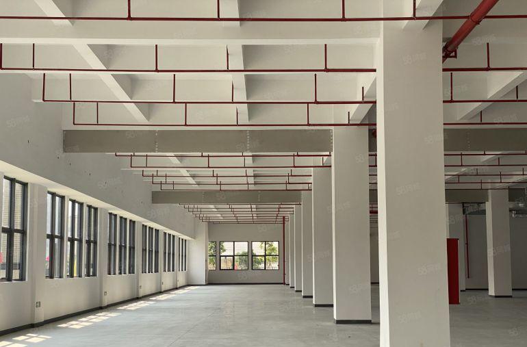 精装修高标厂房招租，红本现楼即租即用，1000平起配套完善