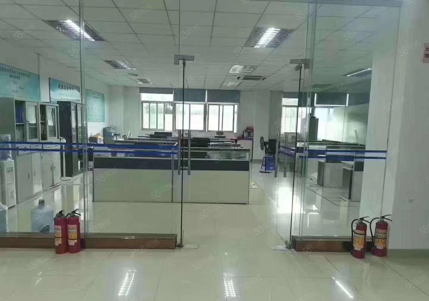 新出独院3800平方厂房出租可以分租