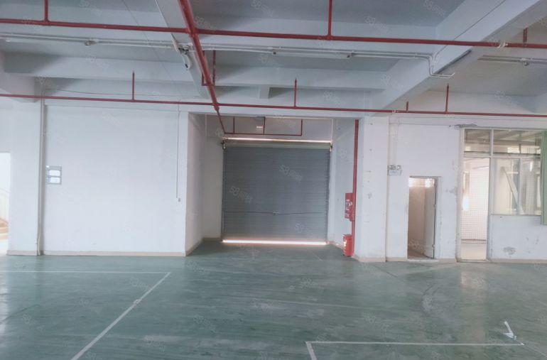 凤岗五联楼上2750平包装电子毛刷 现成水电办公室 拎包入驻