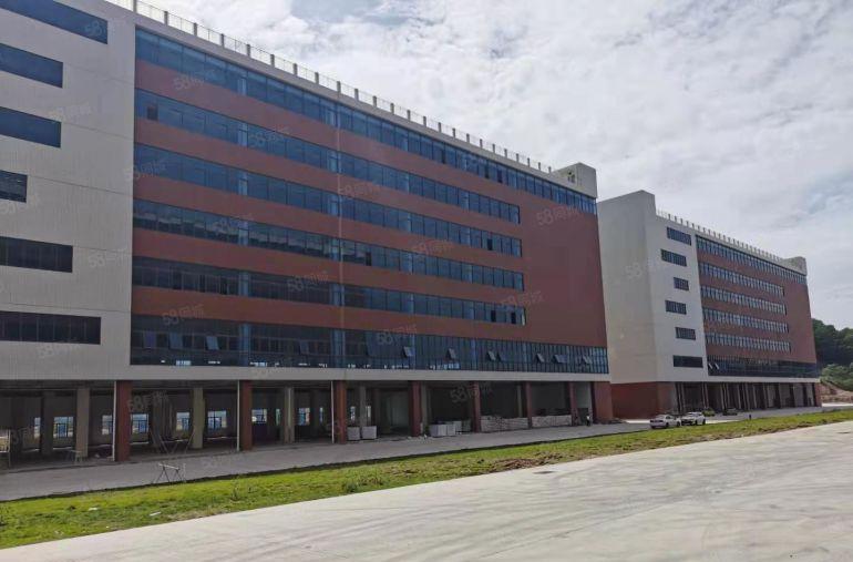 200平起分凤岗金凤凰单层面积2600平和3900平已隔好