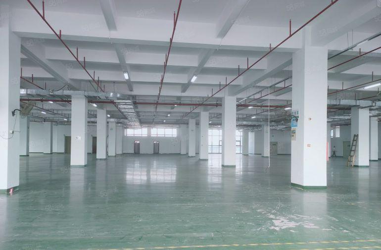 凤岗标准楼上4200平5吨货梯 现成水电装修 拎包即可生产