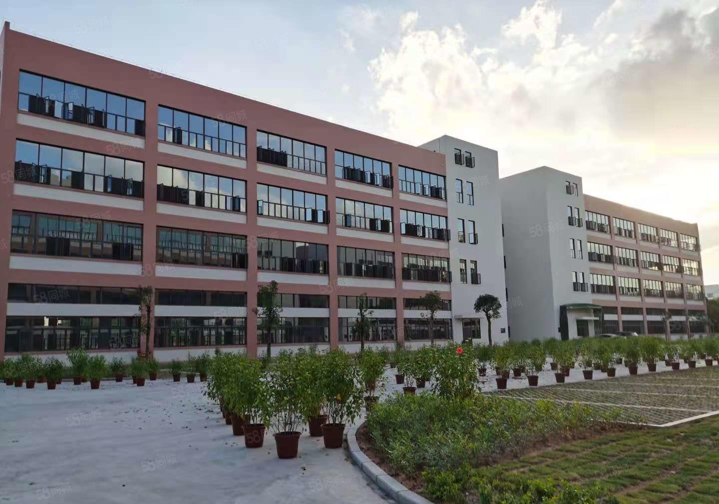 凤岗五联新出村委独栋8000平方大小可分厂房仓库出租