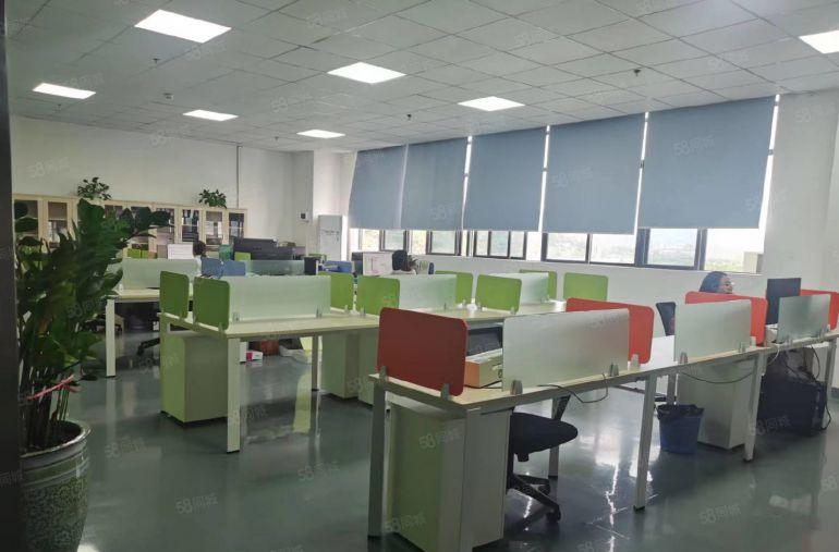 无尘车间！原房东无转让费凤岗楼上3000平低价厂房仓库出租