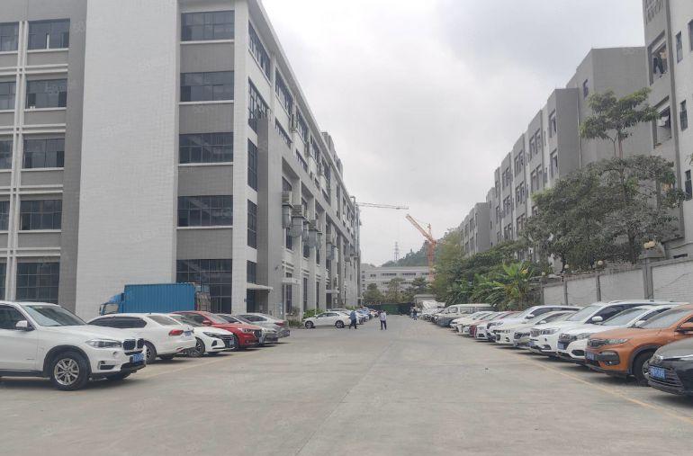 凤岗1楼1800平带牛角，楼上3600平，现成办公室