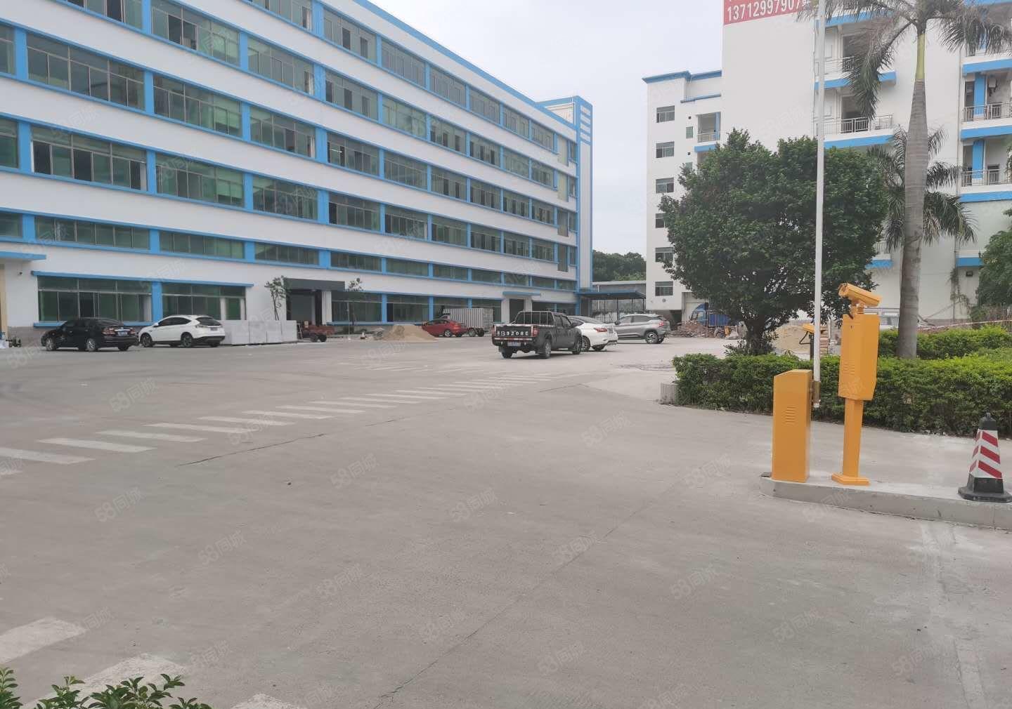 凤岗新出原房东花园式红本厂房5000平厂房出租可分租