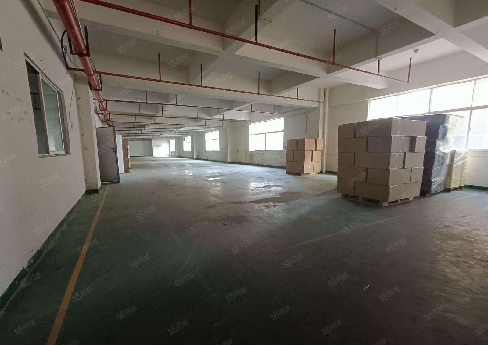 红盈工业园新出楼上800平 (临深) 可办环评  一手房东