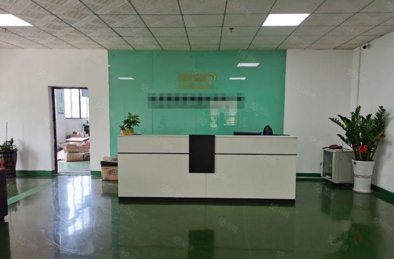 凤岗五联一楼2000平方带牛角带办公室装修空地大厂房仓库出租