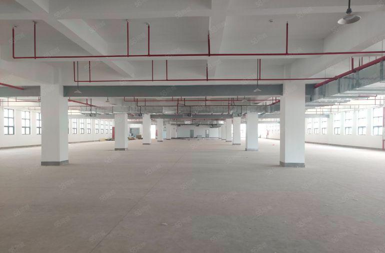 原房东9.9元低价出租雁田布心五联工业园5千平一楼仓库厂房